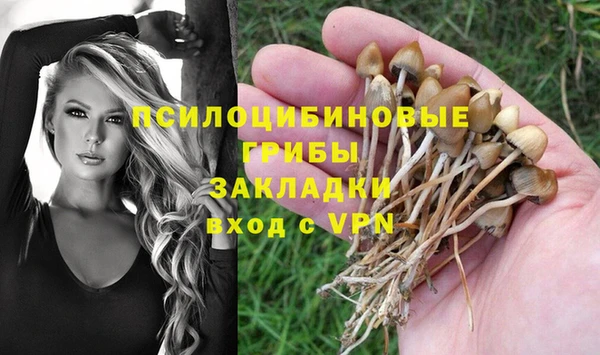 гидропоника Алексин