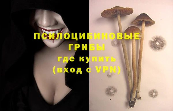 гидропоника Алексин