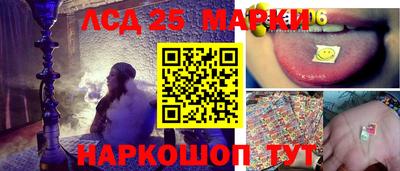 гидра Добрянка