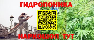 гидра Добрянка