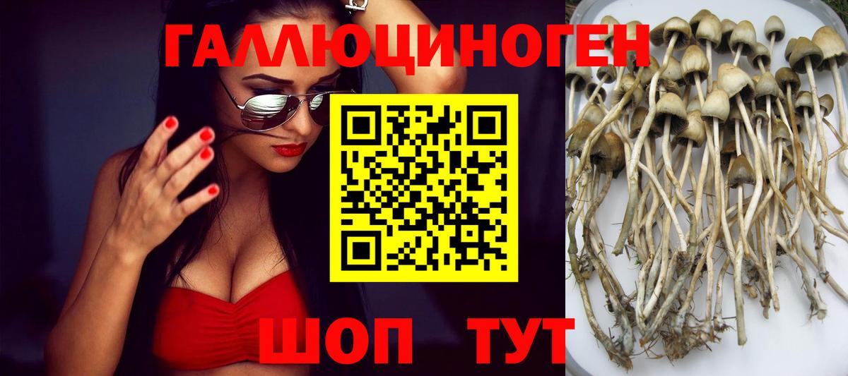 Псилоцибиновые грибы мицелий  Галлюциногенные грибы Cubensis  Уфа  Вход с VPN 